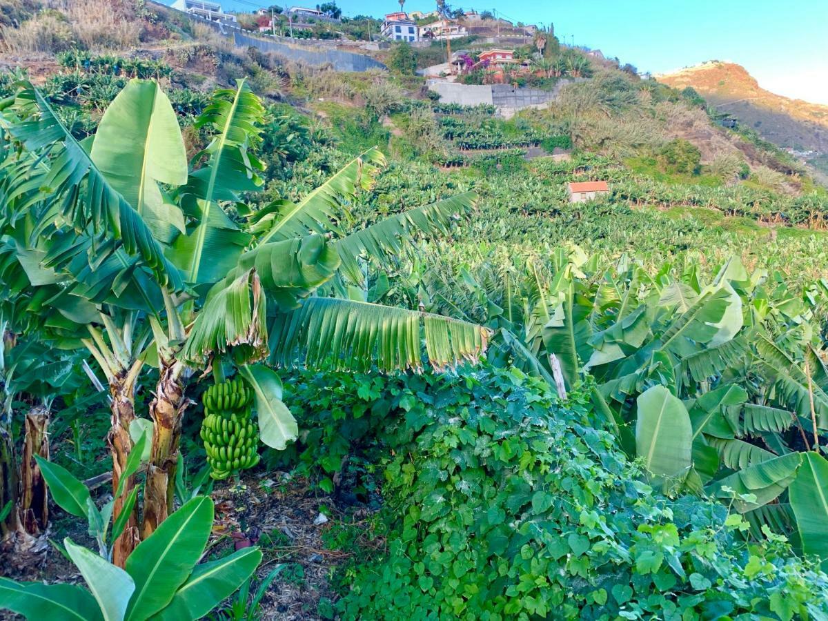 Villa Felicidade Arco da Calheta  Bagian luar foto